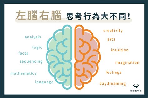 右腦適合工作|未來屬於全腦思考的人才